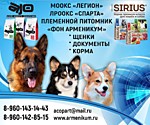 Контакты